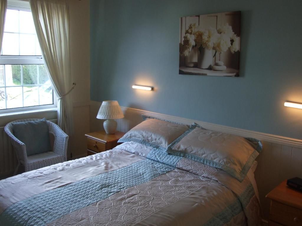 Отели типа «постель и завтрак» Shannonside House B&B Атлон-54