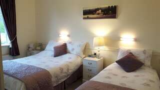 Отели типа «постель и завтрак» Shannonside House B&B Атлон Двухместный номер с 2 отдельными кроватями-5