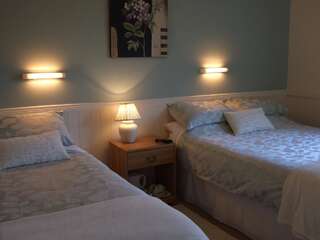 Отели типа «постель и завтрак» Shannonside House B&B Атлон Двухместный номер с 2 отдельными кроватями-7